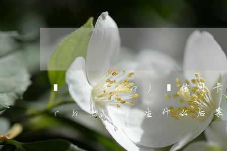 網(wǎng)貸信用卡逾期2個月會產(chǎn)生什么后果？如何處理逾期問題？
